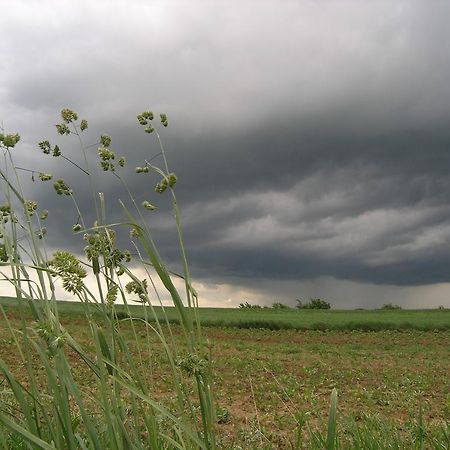 Agroturystyka Kalina Wielka Exterior foto